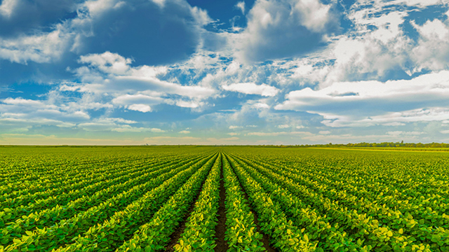 williamhill英国官网