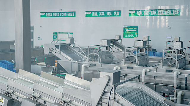 williamhill英国官网·生产工艺