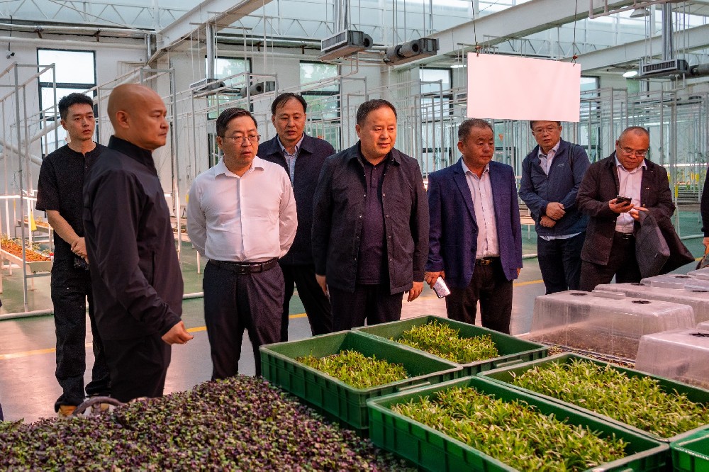 国家大豆产业专家团赴williamhill英国官网集团考察调研，共同探讨大豆产业链发展