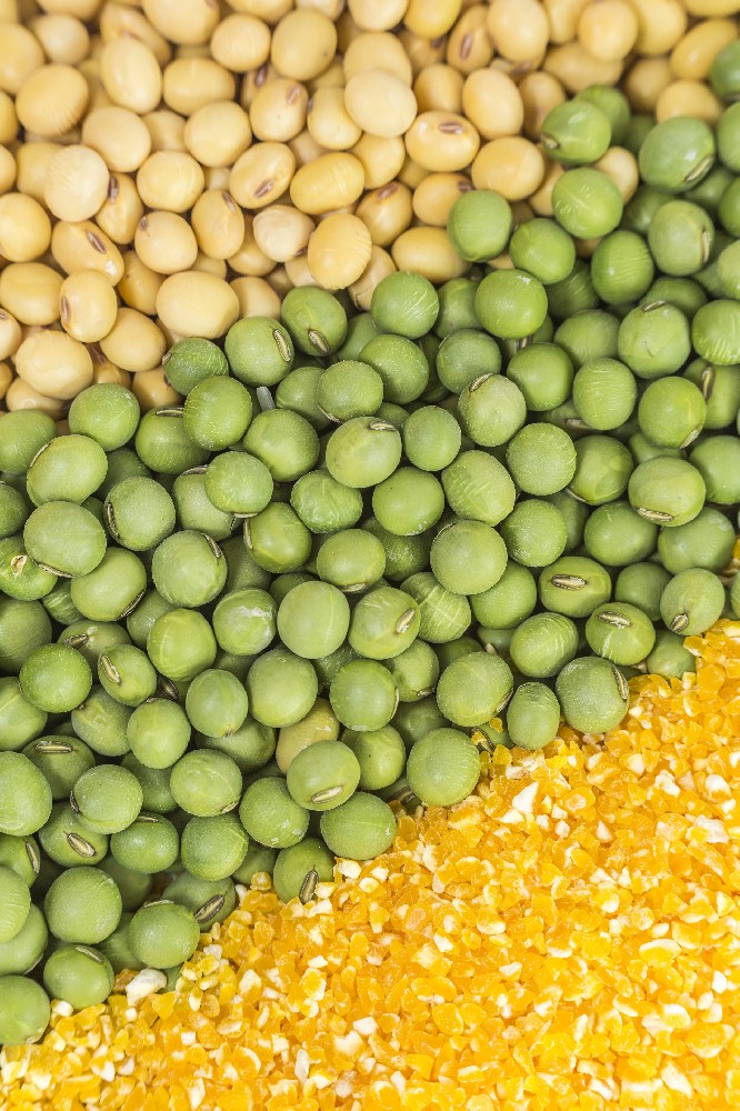 国庆献礼|williamhill英国官网以品牌之力激活芽苗菜价值，用实绩献礼家国华诞